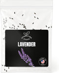 Fall & Winter Lavender Seeds for Indoor & Outdoor Planting – 100+ Non-GMO Heirloom USA-Grown Fragrant for Culinary & Aromatherapy Uses, High Germination (Lavandula angustifolia)