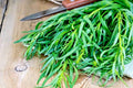 KIRA SEEDS - Seeds French Tarragon Medicinal - Estragon - Heirloom Herbs - GMO Free