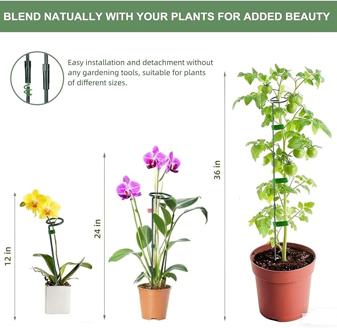 2 Pack Plant Support Sticks, 3 Sizes (12 or 24 or 36 inch) Garden Plant Stake, Plant Support Rings for Indoor Outdoor with Plants Ties, Plants Stakes for Flowers, Climbing Plants, Orchid