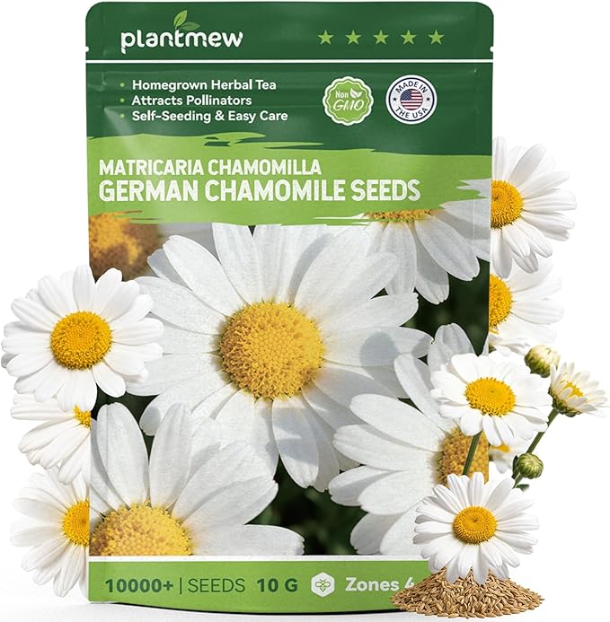 German Chamomile Seeds for Planting - 10,000+ Non-GMO Heirloom Seeds (Matricaria chamomilla), Homegrown Herbal Tea, Attracts Pollinators, Self-Seeding, USDA Zones 4-9, Medicinal Herb