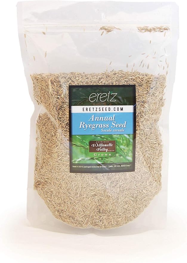 Annual RyeGrass Seed by Eretz - Willamette Valley, Oregon Grown. No fillers, No Weed or Other Crop Seeds (1lb)