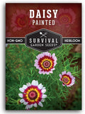 Tricolor Painted Daisy Seeds for Planting - Chrysanthemum Carinatum - Ringed Red, Yellow, and White Annual Flower for Summer Beds - Survival Garden Seeds (1 Pack)