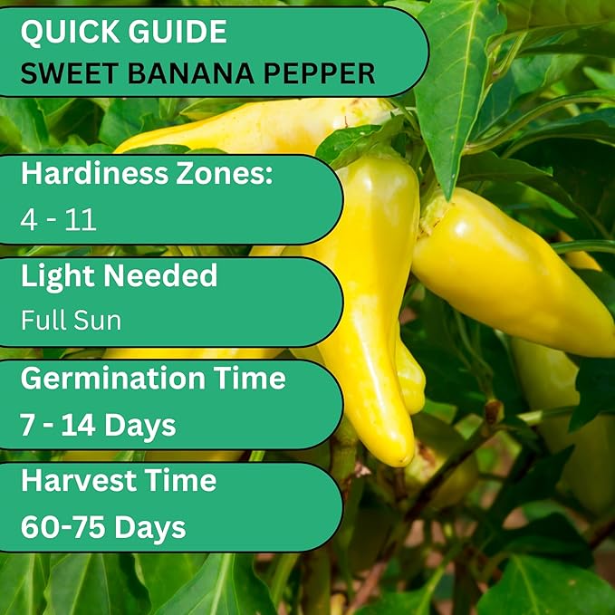 Woods Creek Seeds: Sweet Banana Pepper Seeds for Planting - Non-GMO Yellow Peppers, Mild and Crisp - Heirloom Sweet Pepper Seeds for Planting - High-Yield Seed Pack for Home Gardening