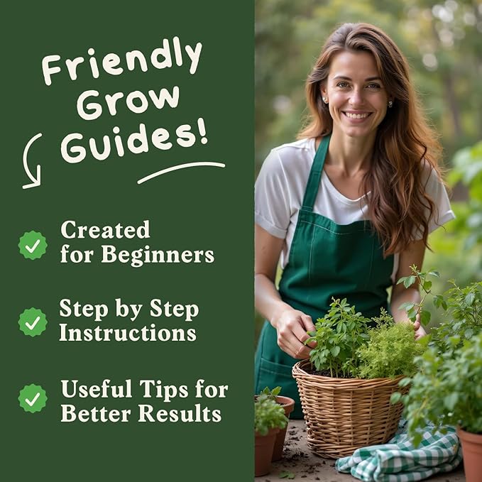 Seedboy Organic Non GMO 10 Herb Variety Pack: Basil, Cilantro, Mint, Oregano, Parsley, Thyme, Chives, Dill, Sage, Rosemary for Planting Indoor and Outdoor, USDA Certified (10 Herb Variety Pack)