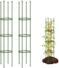 Joyhalo 2 Pack Tomato Cages for Garden, 65 Inch Heavy Duty Tomato Cage, Larger Size & Height Adjustable Tomatoes Trellis for Climbing Plants Vegetables Flowers Cucumber Peony
