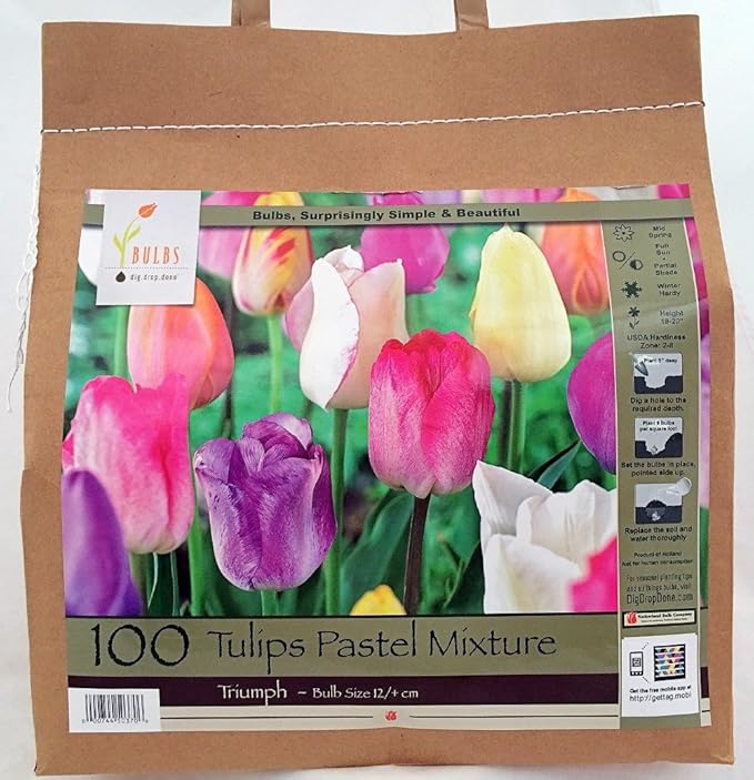 100 Pastel Mixture Tulip Bulbs - Tulipa Triumph Read for Spring.