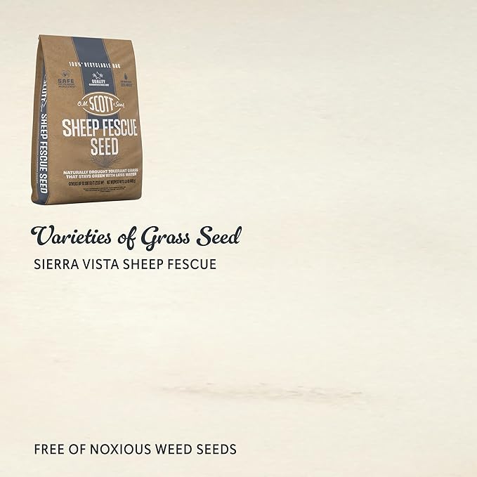 O.M. Scott and Sons Sheep Fescue Seed, Naturally Drought Tolerant Grass, Covers up to 300 sq. ft., 0.9 lb.