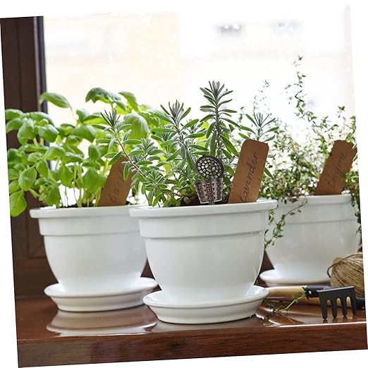 Milisten Fertilizer Box Set of 20 Plastic Bonsai Planting Fertilizer Containers with Tip Design for Easy Insertion and Long Service Life
