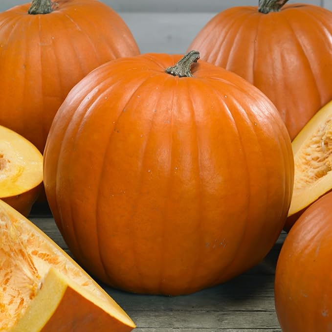 Young's Beauty Pumpkin Seeds - 4 Oz ~900 Seeds - Non-GMO, Heirloom - Vegetable Garden - Cucurbita Pepo