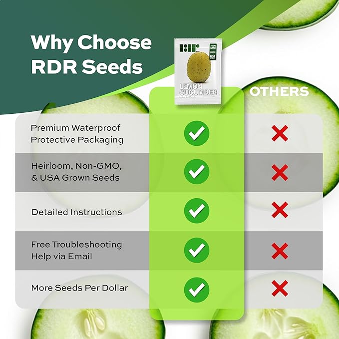 50 Lemon Cucumber Seeds - Heirloom Non-GMO USA Grown Vegetable Seeds for Planting - Baseball Sized Round Cucumber - Cucumis Sativus