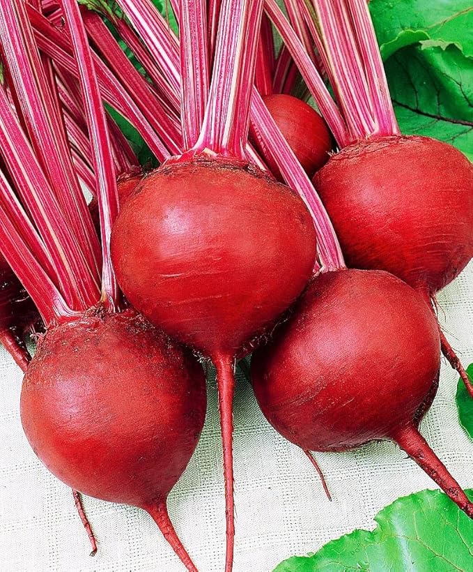 CEMEHA SEEDS - Seeds Beet Red Ball Round Beetroot Dark Non GMO Vegetable for Planting