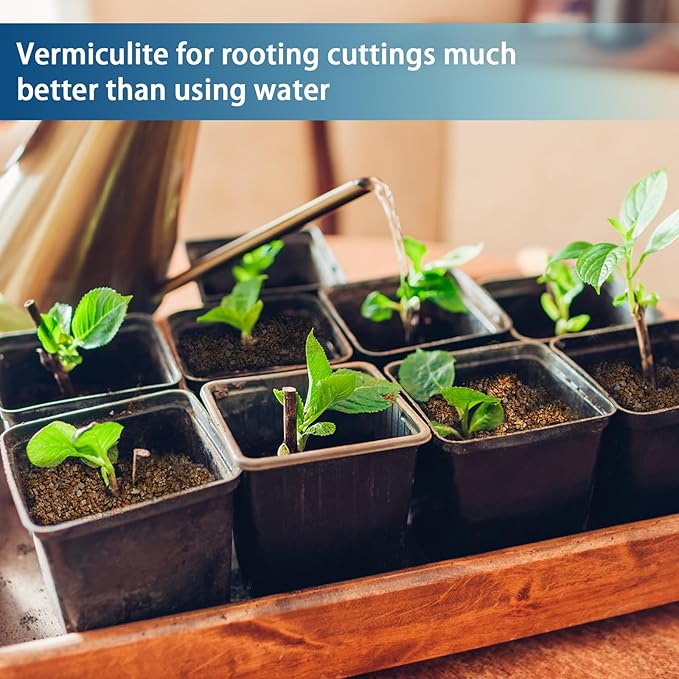 Vermiculite for Gardening 2qt, Coarse Vermiculite for Plant Propagation, Cutting and Seed Starting, Maintain Soil Moisture for Potting Orchids, Succulents, Fungi, and Hydroponics