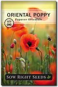Sow Right Seeds - Oriental Poppy Seeds for Planting - Non-GMO Heirloom Seed Packet with Instructions to Grow a Beautiful Flower Garden - Papery Red Blooms for Outdoors - Self Sowing Perennial (1)