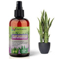𝐁𝐄𝐒𝐓𝐒𝐄𝐋𝐋𝐄𝐑 Plant Superfood for Snake Plants with Essential Minerals - Premium Organic Plant Food Fertilizer for Indoor & Outdoor Snake Plant Care - 8oz