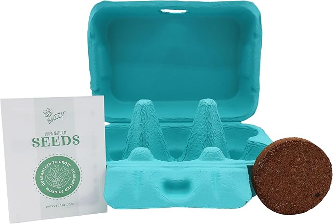 Buzzy Seeds Flower Starter Kit | 2-Pack Eco-Friendly Colorful Egg Cartons | Sunflower & Daisy Seeds | Indoor Flower Grow Kit | Gardening Gift | Ideal for Easter or Mother's Day Gifting