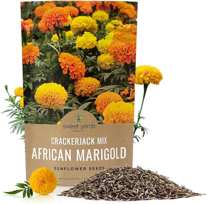 African Marigold Seeds Crackerjack Mix - Bulk 1/4 Pound Bag - Over 40,000 Seeds - Huge Orange and Yellow Blooms