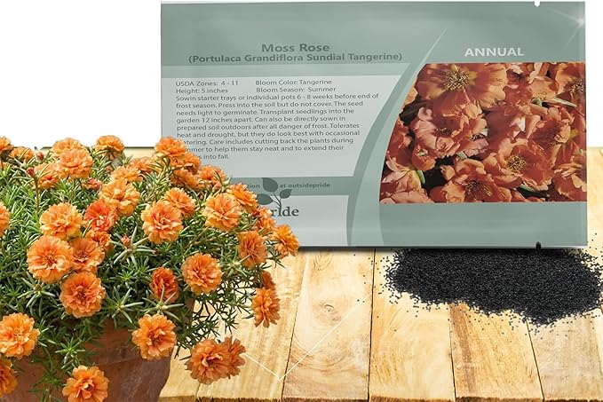 Outsidepride Tangerine Moss Rose Seeds - 250 Pcs Annual, Drought & Heat Tolerant, Pollinator Friendly Ground Cover Seeds for Planting w/Vibrant Blooms & Succulent Foliage, Ideal for Xeriscaping