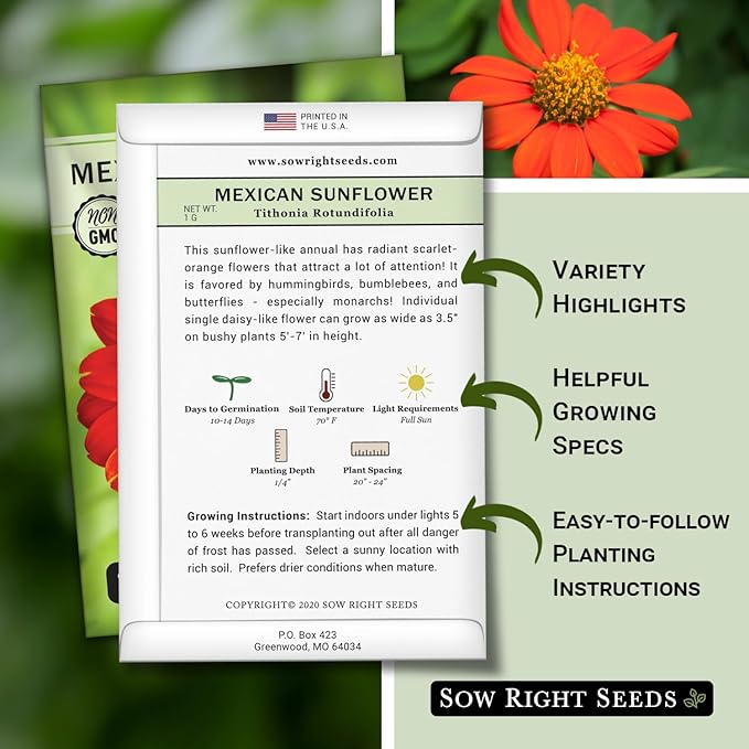 Sow Right Seeds - Mexican Sunflower Seeds for Planting - Non-GMO Heirloom Packet with Instructions for Growing - Bright Orange Blooms, Super Tall Stalks - Enjoys Outdoors or Indoors as Cut Flower (2)