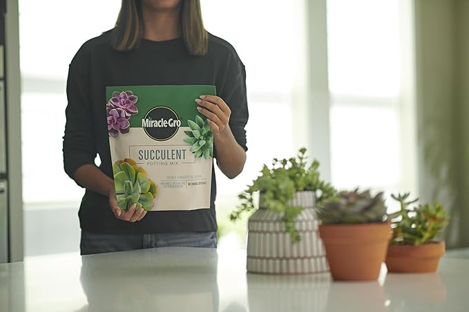 Miracle-Gro Succulent Potting Mix - Potting Soil Mix for Indoor Succulents, Aloe Vera and More, Made with Miracle-Gro Plant Food, 4 qt. (3-Pack)