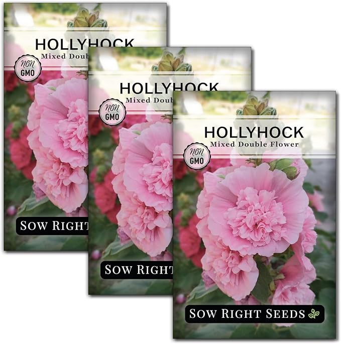 Sow Right Seeds - Double Flower Mixed Hollyhock Seeds for Planting - Non-GMO Heirloom Packet with Instructions to Plant an Outdoor Cottage Garden - Tall Ruffled Mix of Pink, Yellow, Red & White (3)