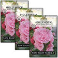 Sow Right Seeds - Double Flower Mixed Hollyhock Seeds for Planting - Non-GMO Heirloom Packet with Instructions to Plant an Outdoor Cottage Garden - Tall Ruffled Mix of Pink, Yellow, Red & White (3)