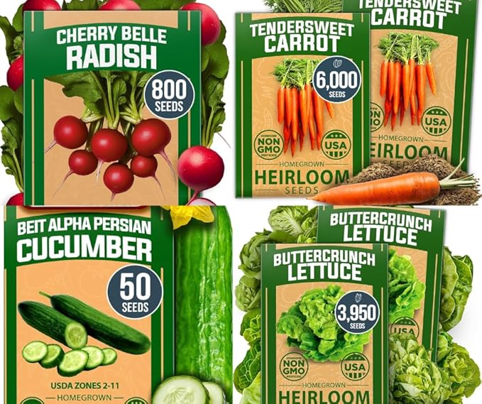 HOME GROWN 𝗨𝗦𝗔 𝗣𝗥𝗘𝗠𝗜𝗨𝗠 Persian Cucumber Seeds 50 & Cherry Belle Radish 800 & Tendersweet Carrots 6000 & Buttercrunch Lettuce 3950