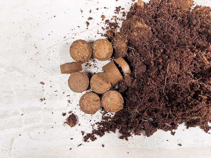 Envelor Coco Coir Seed Starting Pellets 0.8 Inches Dia - 180 Pack Soil Mix for Seed Starter Kits, Nursery Pots and Seed Trays Compressed Coconut Fiber Pellets Indoor Plants Potting Soil Coco Discs