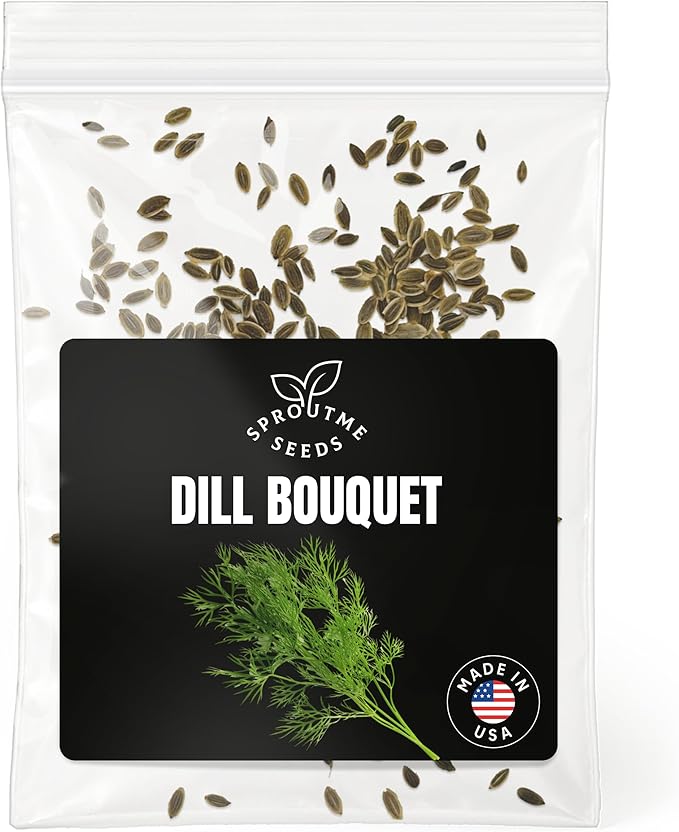 Fall & Winter Dill Bouquet Seeds for Indoor & Outdoor Planting – 200+ Non-GMO Heirloom USA-Grown Aromatic Herb for Pickling, High Germination (Anethum graveolens)