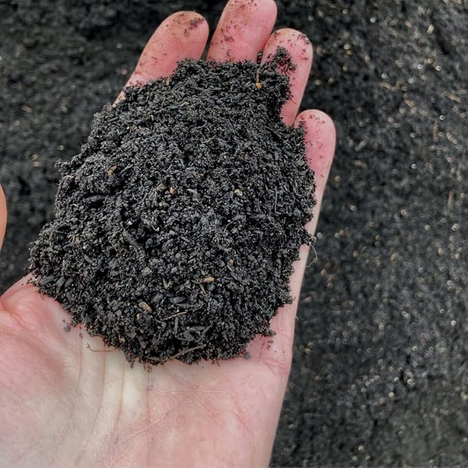 Earth Science – Earthworm Castings – Premium Plant Fertilizer for Indoor & Outdoor Plants – Soil Enhancer for Vegetable Gardens 12lb