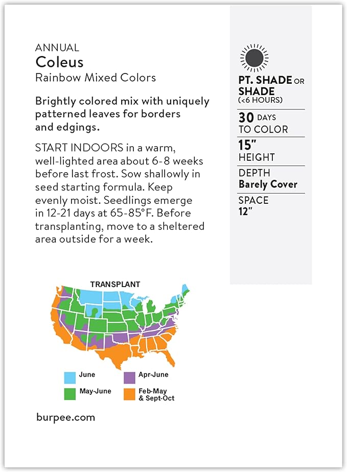 Burpee Coleus Seeds, Rainbow Mixed Colors - Vibrant Foliage for Shade Gardens