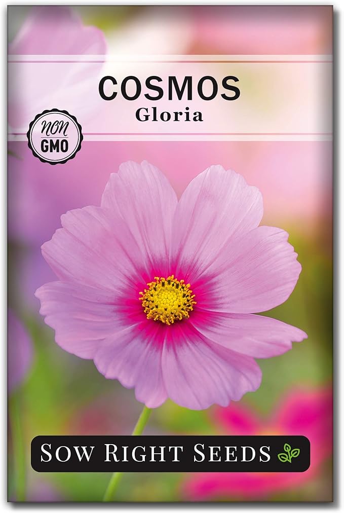 Sow Right Seeds - Gloria Cosmos Seeds for Planting - Non-GMO Heirloom Variety - Outdoor Garden Annuals - Bright Blooms - Easy to Grow Flowers - Perfect for Borders & Beds - Attracts Pollinators (1)