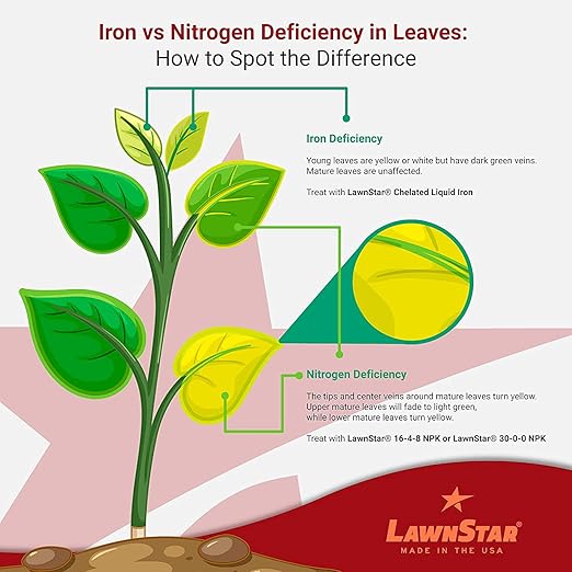 LawnStar Liquid Iron (1 Gallon) for Plants - Multi-Purpose, Suitable for Lawn, Flowers, Shrubs, Trees - Treats Iron Deficiency, Root Damage & Color Distortion – EDTA-Free, American Made