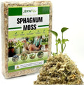Natural Long Fiber Sphagnum Moss 34QT for Orchid Potting Mix, and Moss Pole for Plants Indoor. Ideal for Propagating Plants, Maintaining Humidity for Reptiles, Isopods in Paludarium, Aquascape (10 OZ)