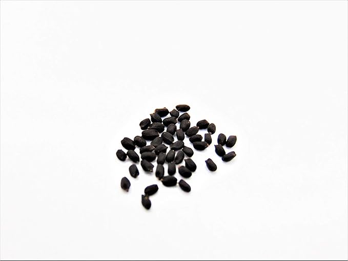 Joyous Jiffy "Herb" Collection #2-(2) Round 3x3 Jiffy pots,(2)Soil Peat Pellets(1)25+ Cilantro Seed pk(1)25+ Italian Large Leaf Basil Seed pk(1)25+ Italian Dk Green Parsley seed pk(1)25+ Thyme Seed pk