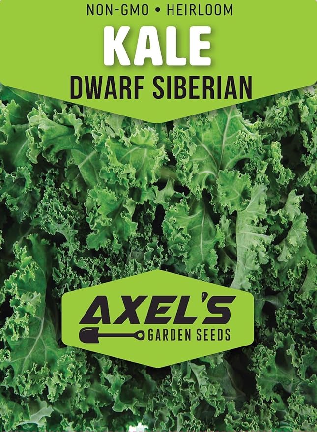 Kale Seeds for Planting - Plant & Grow Heirloom Kale Varieties Home Outdoor Garden – Easy Grow Planting Packet Instructions Included, Great Gardening Gift – 5 Packets of Each Variety