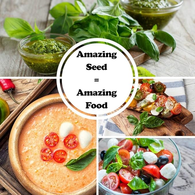 Deluxe Basil Seed Collection - 5 Varieties, 100% Non-GMO Heirloom Genovese Basil, Thai Basil, Lemon Basil, Italian Basil, and Dark Opal Basil Herb Seeds by Sustainable Seed Company (Collection Only)