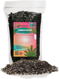 GARDENERA Zamioculcas Plant Potting Soil - Enhance Elegance and Health with Professional Grade Nutrient-Rich Mix - 3 Quart