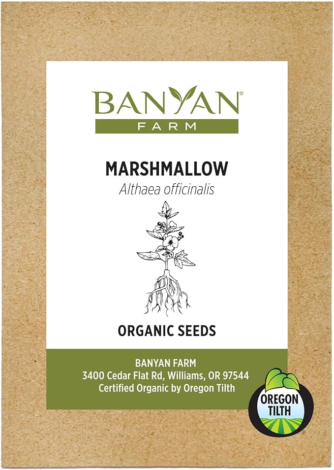 Banyan Botanicals Organic Marshmallow Seeds – Althaea officinalis – Grow Marshmallow Root for Your Home Apothecary or for Marshmallow Root Tea – 50 Count – Open Pollinated Non-GMO Easy-to-Grow