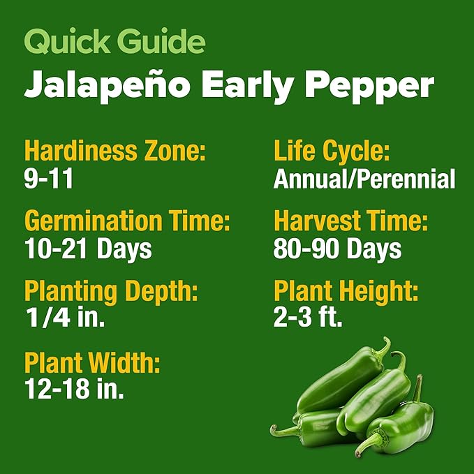 HOME GROWN Jalapeno Pepper Seeds – 258 Heirloom Seeds (Capsicum annuum) – High Germination, Easy to Grow, Early Harvest Hot Peppers