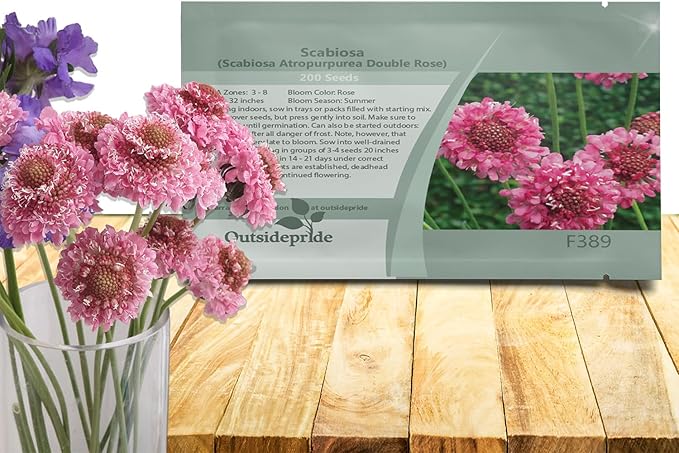 Outsidepride Double Rose Scabiosa Seeds - 200 Pcs Annual Pincushion Flower Seeds That Attract Pollinators, Upright & Neat Growth Habit for Small Gardens, Borders, Containers, & Xeriscaping