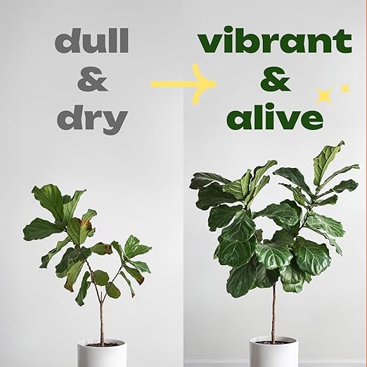 RichFarm Booster, 5 Pouch, Indoor or Outdoor Root Stimulator for Plant, Billion Microbes, Work with Any Fertilizer or Plant Food, Organic, Soil Condition Powder, for Garden, Pots and Lawns