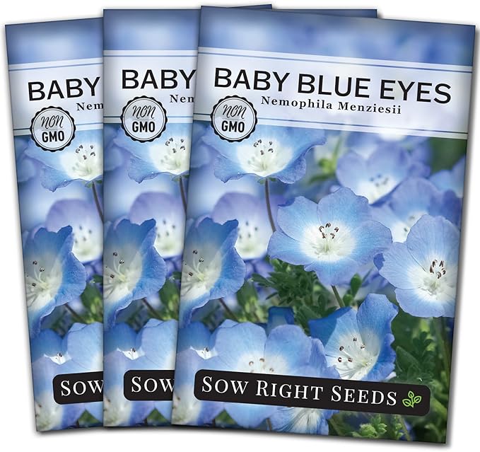 Sow Right Seeds - Baby Blue Eyes Flower Seeds for Planting - Annual Plant with Sweet Essence - Non-GMO Heirloom Packet with Instructions to Plant a Home Garden - Native California Wildflower (3)