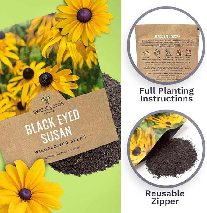 Black Eyed Susan Seeds – Extra Large Packet – Over 100,000 Open Pollinated Non-GMO Wildflower Seeds – Rudbeckia hirta