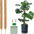 2 Pack 27.56 Inch Bendable Moss Pole for Monstera,70cm Monstera Plant Support Stakes Moss Sticks for Climbing Indoor Plants Pothos Philodendron,Coir/Coco Plant Trellis for Potted Climbers Houseplants