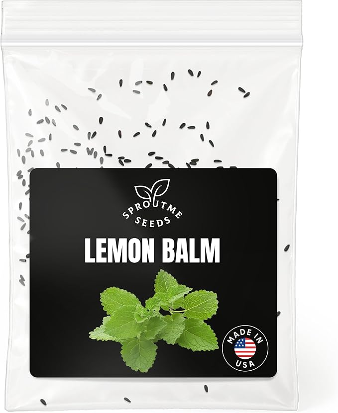 Fall & Winter Lemon Balm Seeds for Indoor & Outdoor Planting – 200+ Non-GMO Heirloom USA-Grown Fragrant Herb for Tea & Culinary Use with High Germination (Melissa officinalis)