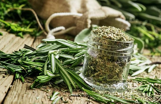 SeedsUP - 50+ Seeds Rosemary - Herb Green