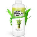Lucky Bamboo Fertilizer – Liquid Plant Food for Greener Stalks, Healthy New Shoots & Steady Growth, 32 oz