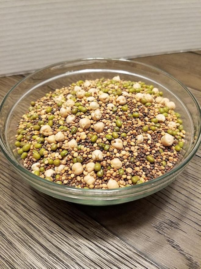 The Salad Bar Mix Seeds for Sprouting microgreens, 8 Ounce "COOL BEANS n SPROUTS" Brand,Broccoli, Alfalfa, Radish, Kale, Mustard, Arugula, Cress, Mung Bean, Garbanzo Bean