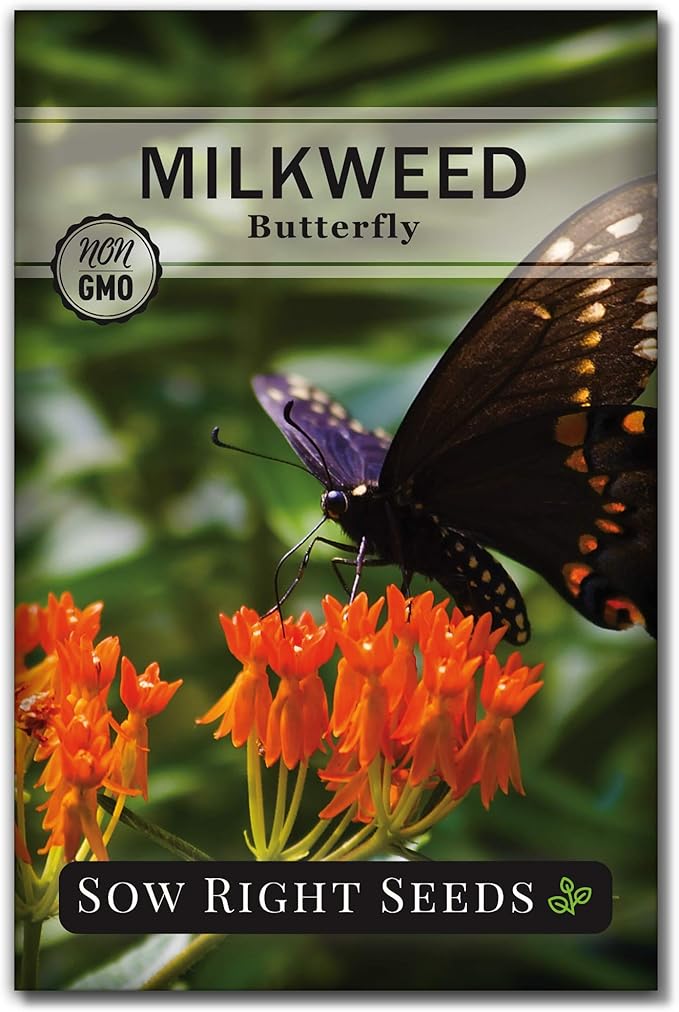 Sow Right Seeds Butterfly Milkweed Seeds - Attract Monarch And Other Butterflies to Your Garden - Non-GMO Heirloom Seed Packet With instructions for Planting - Perennial Host Plant for Pollinators (1)