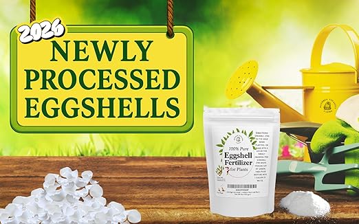 Natures Vitality Farms Eggshell Fertilizer Powder, 1 Pound, for Tomato Plants, Orchids, Calcium Magnesium Phosphorus Powder for Indoor and Outdoor Flowers and Plants